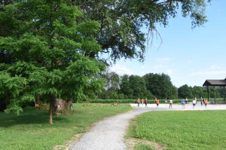 Telovadba starostnikov ob Radulji 1